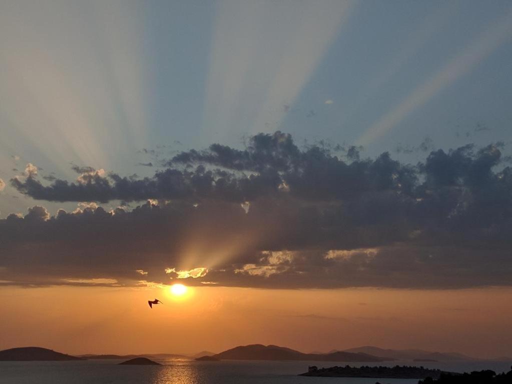 Apartman Rasip, Murter Buitenkant foto